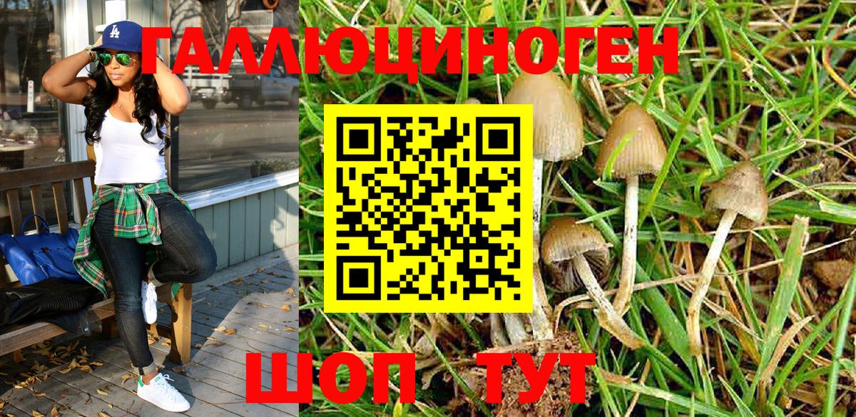Псилоцибиновые грибы MAGIC MUSHROOMS Норильск